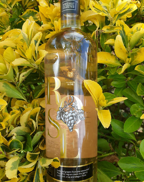 Specially Selected Pays d'Oc IGP Rosé 2020 Pays d'Oc IGP Rosé