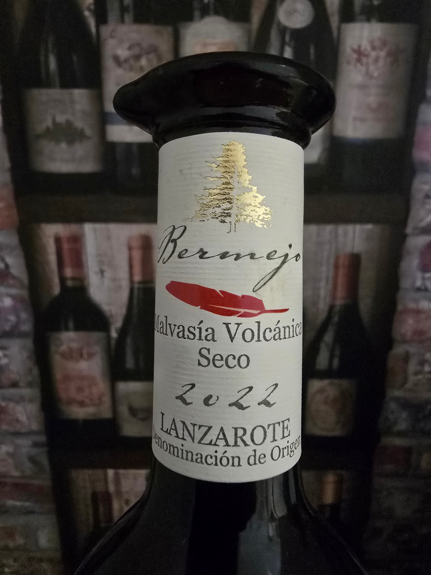 Los Bermejos Malvasía Volcánica