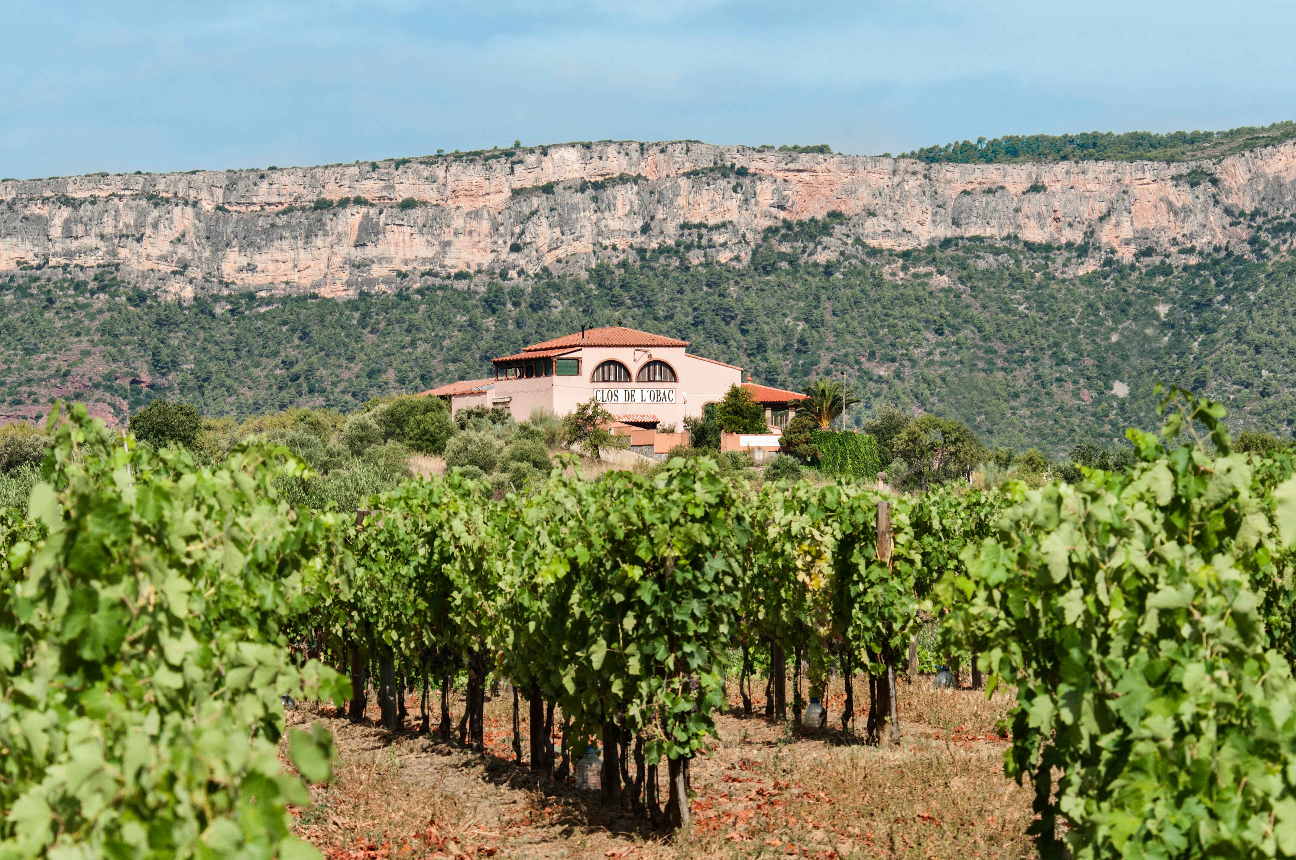 Clos de L'Obac