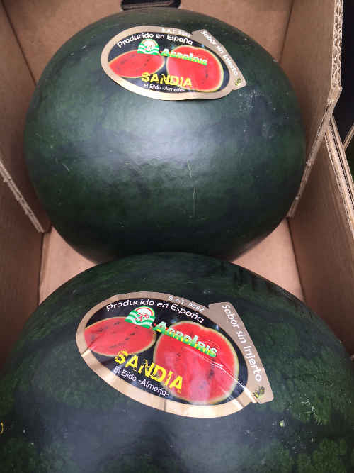Fresh FESA watermelons from Southern Spain Watermelons
