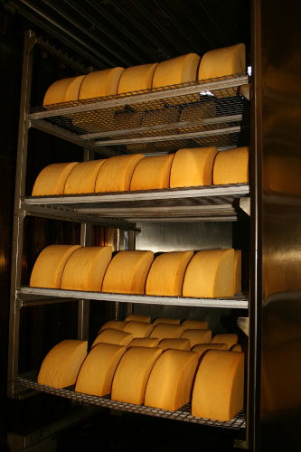 Greens of Glastonbuty Smoked Cheese Smoked Cheese