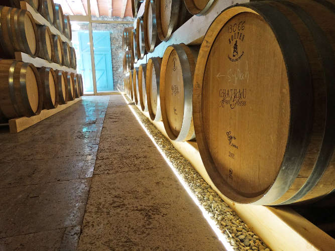 Oak barrels at Château Haut Gléon Wine