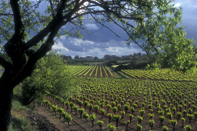 Languedoc-Roussillon
