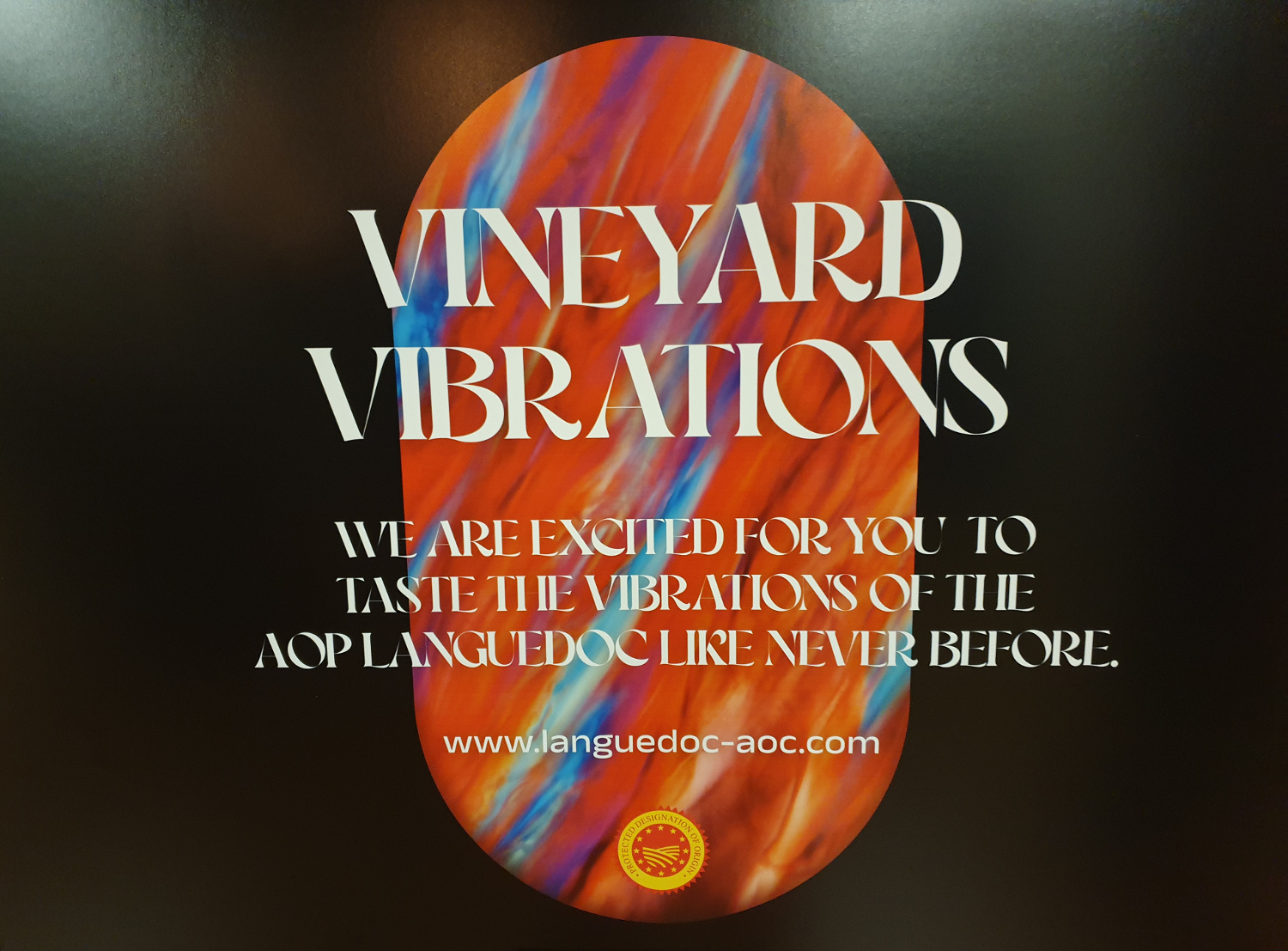 Languedoc tasting Languedoc tasting