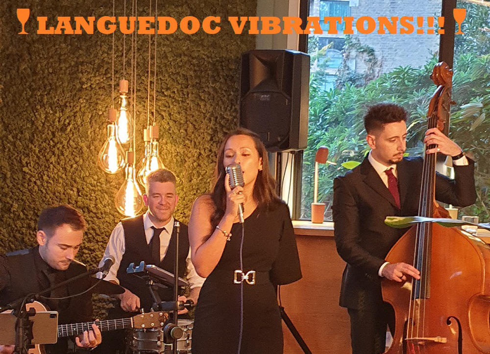 Languedoc Vineyard Vibrations