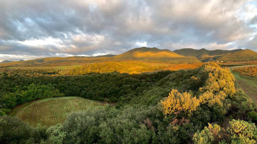 The crater at Domaine du Météore Vineyard
