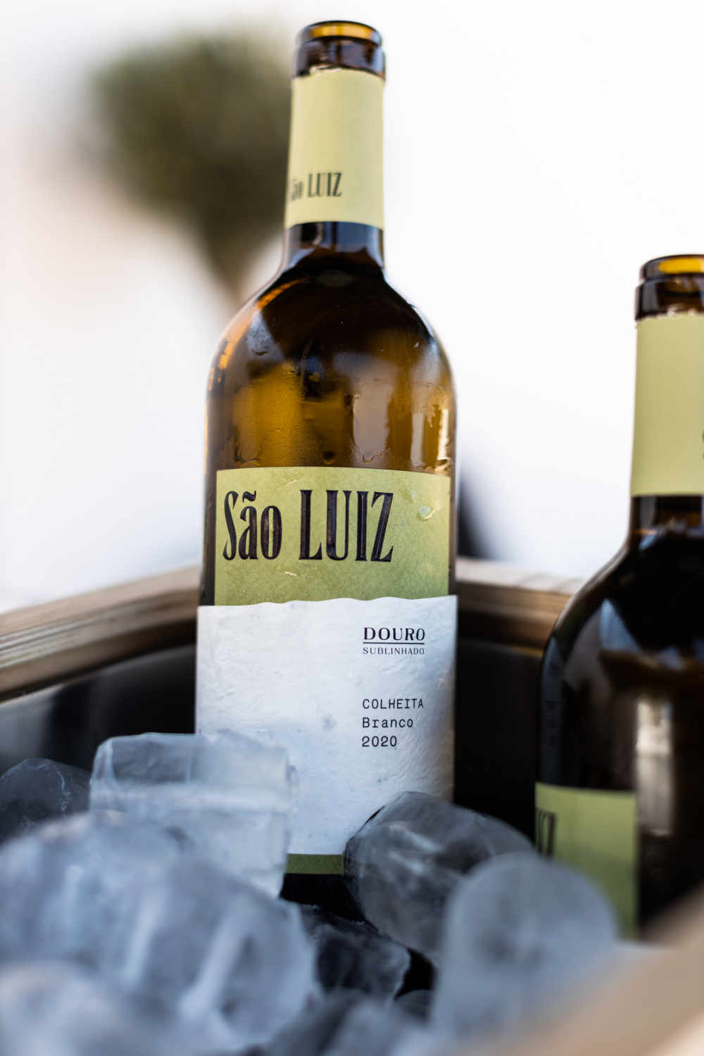 São Luiz Colheita Branco 2020