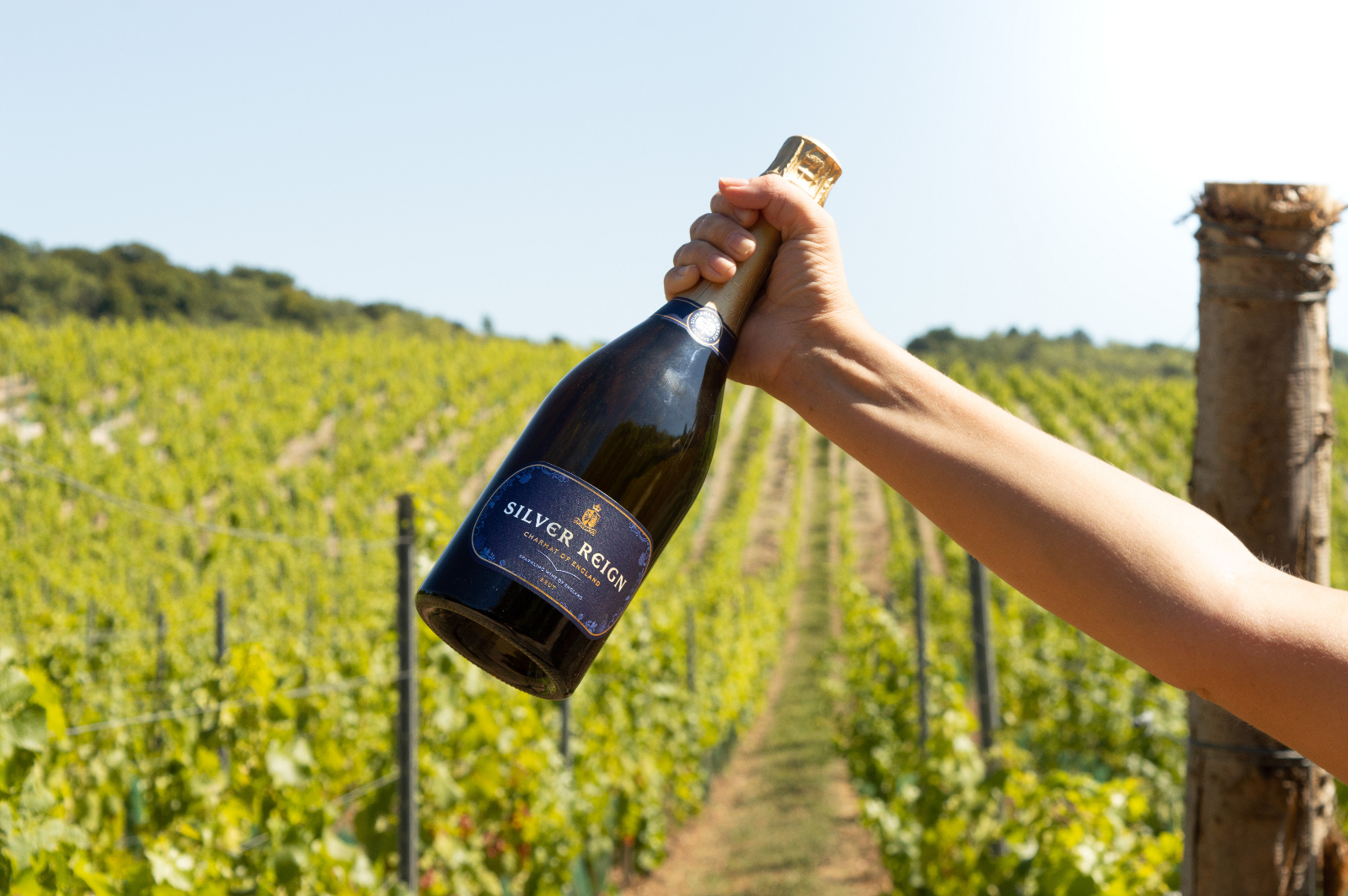 Silverhand Silver Reign Brut Silverhand Silver Reign