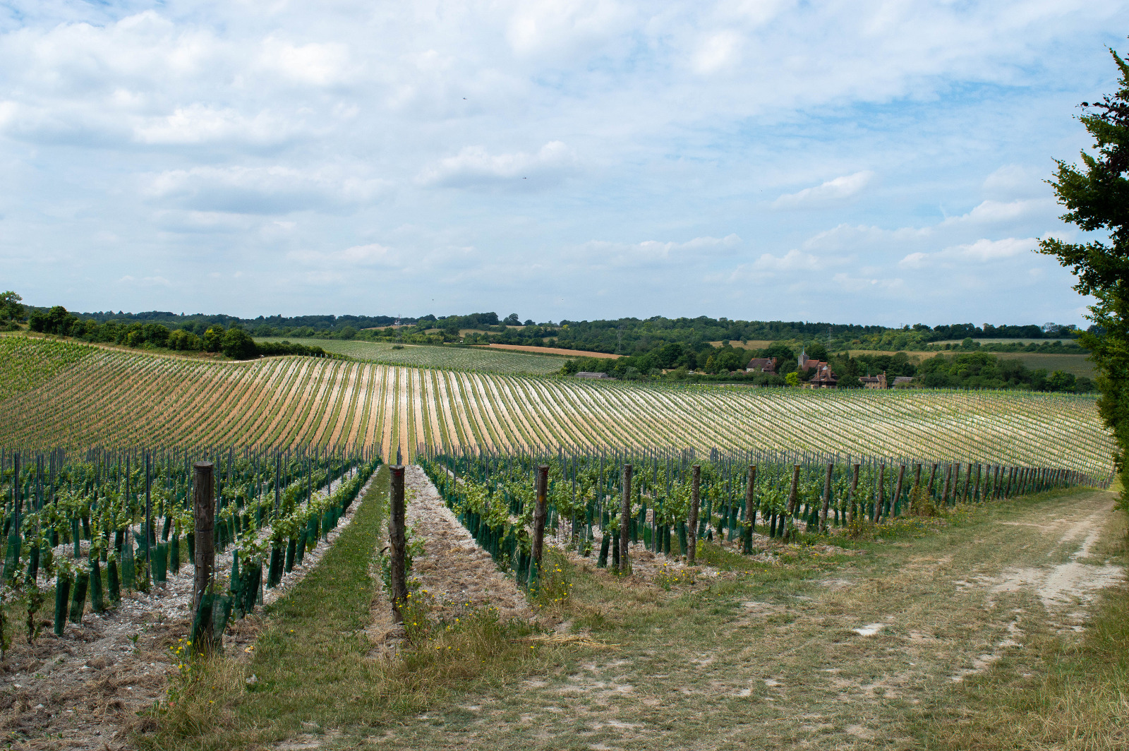 Silverhand Estate Silverhand Estate