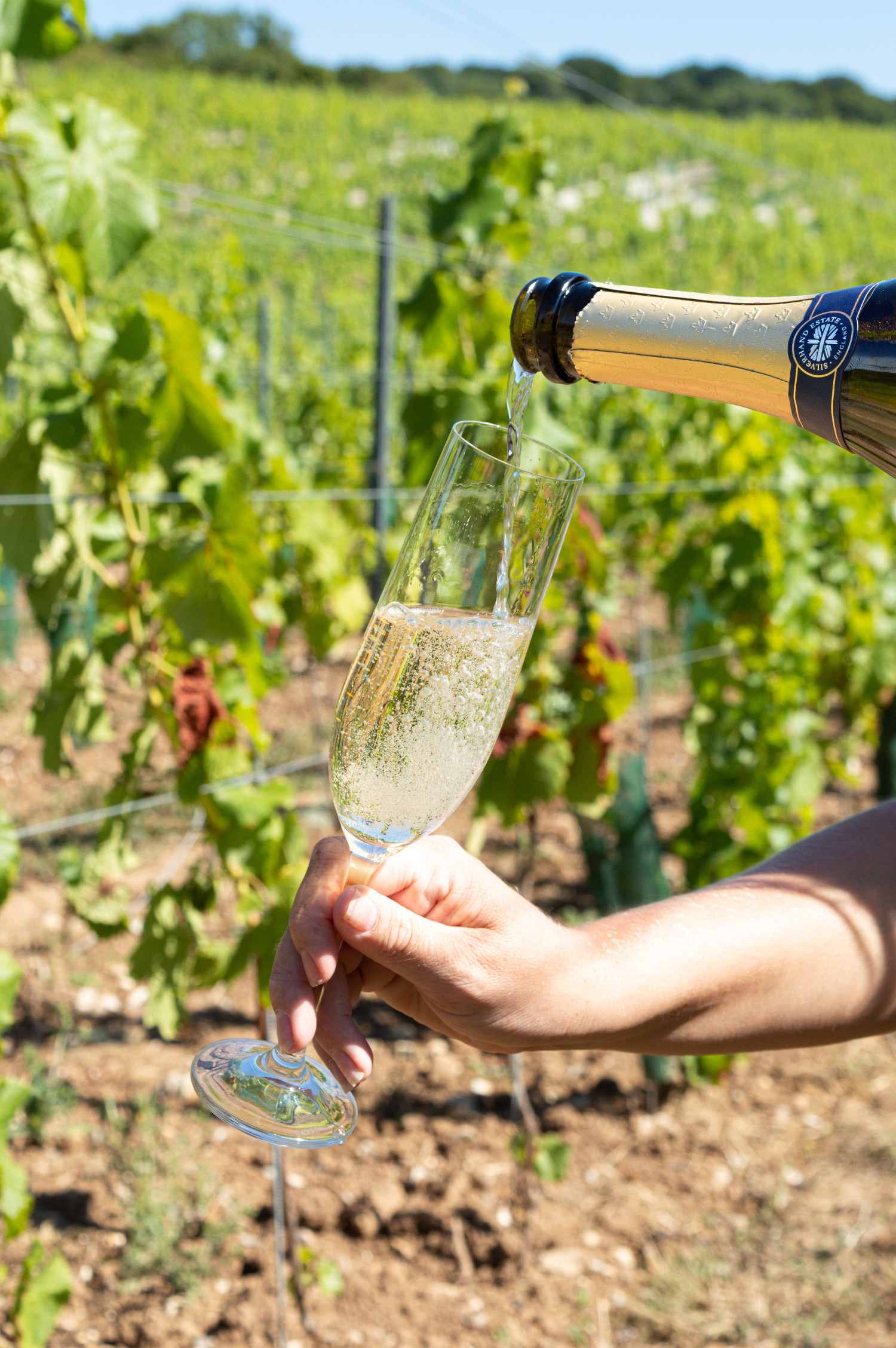 Silverhand Sparkling wine