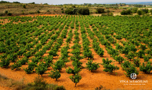 Viña Memorias