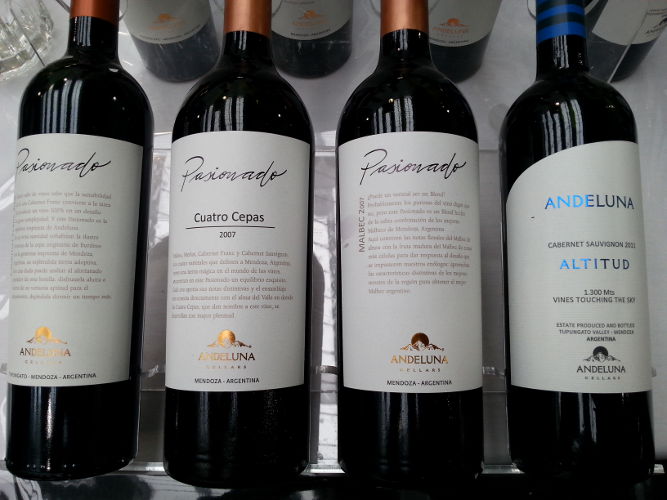 Southern Hemisphere Wine