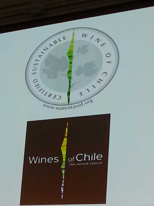 Chilean wine