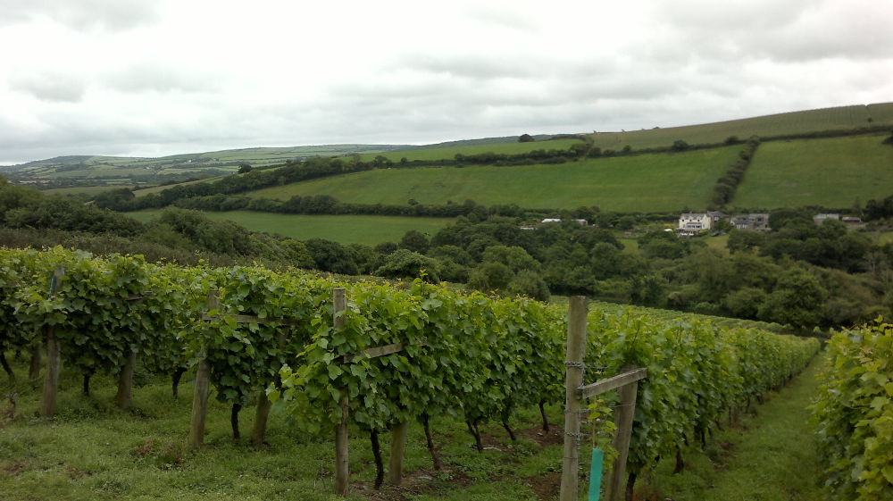 English Wine
