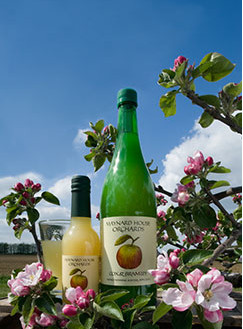 Maynard House Orchards