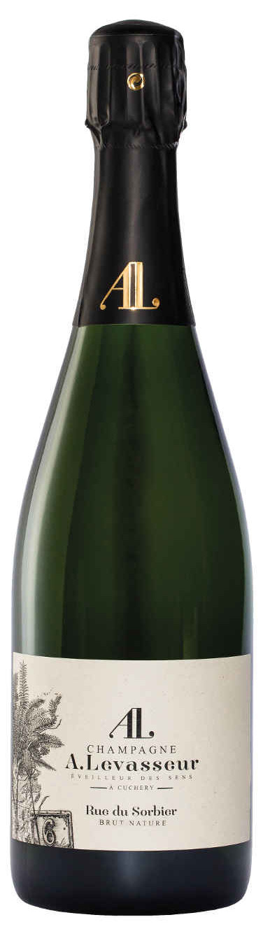 Champagne
